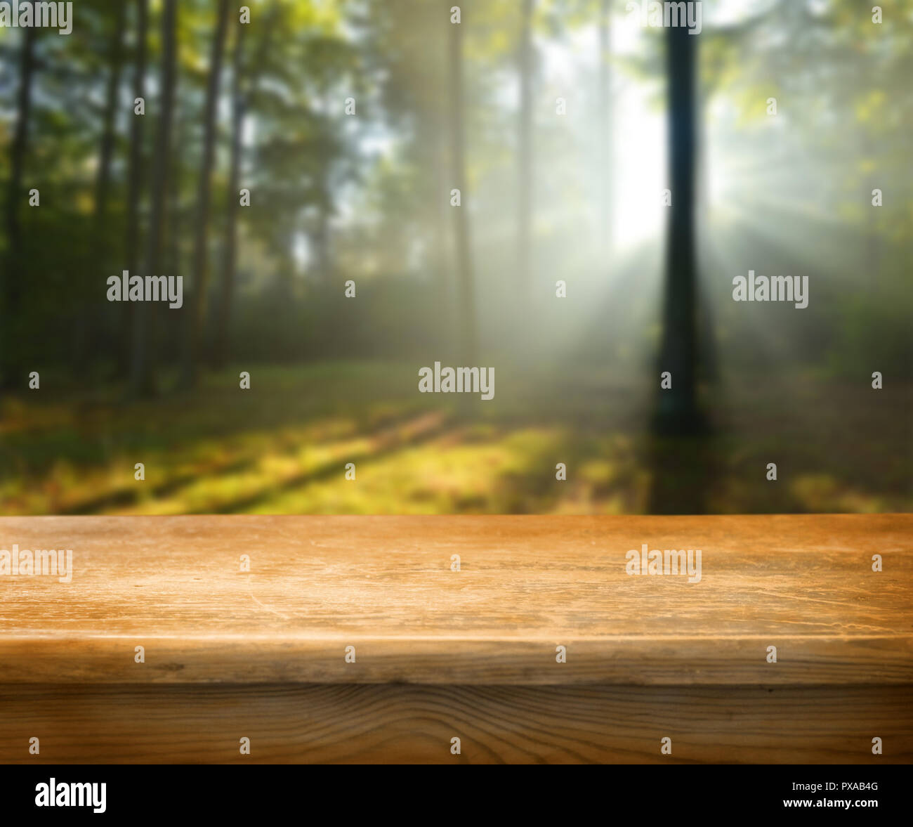 Empty table and defocused forest in background Stock Photo