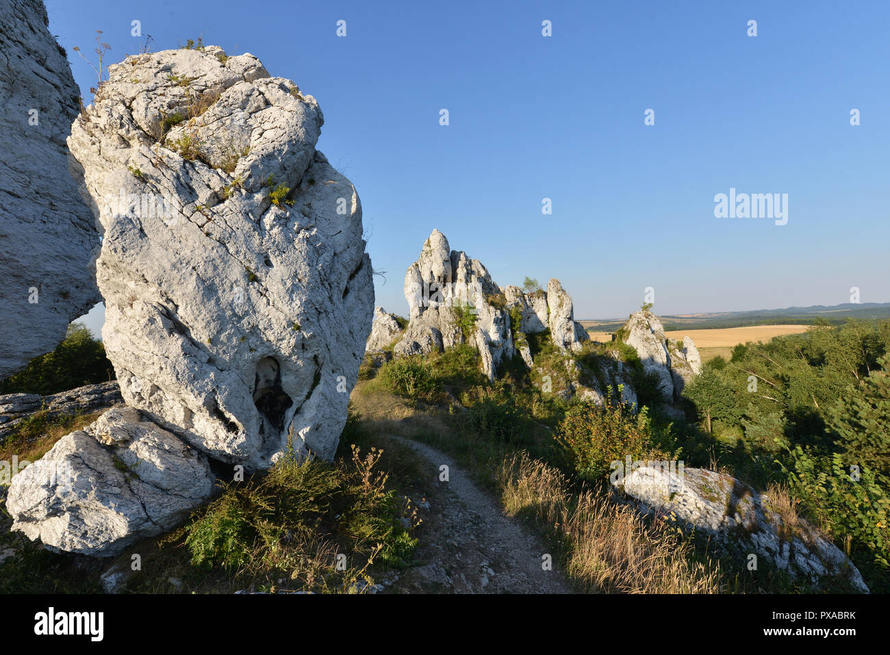 Limestone rocks in ' Jura Krakopwsko - Czestochowska ' in Poland Stock Photo