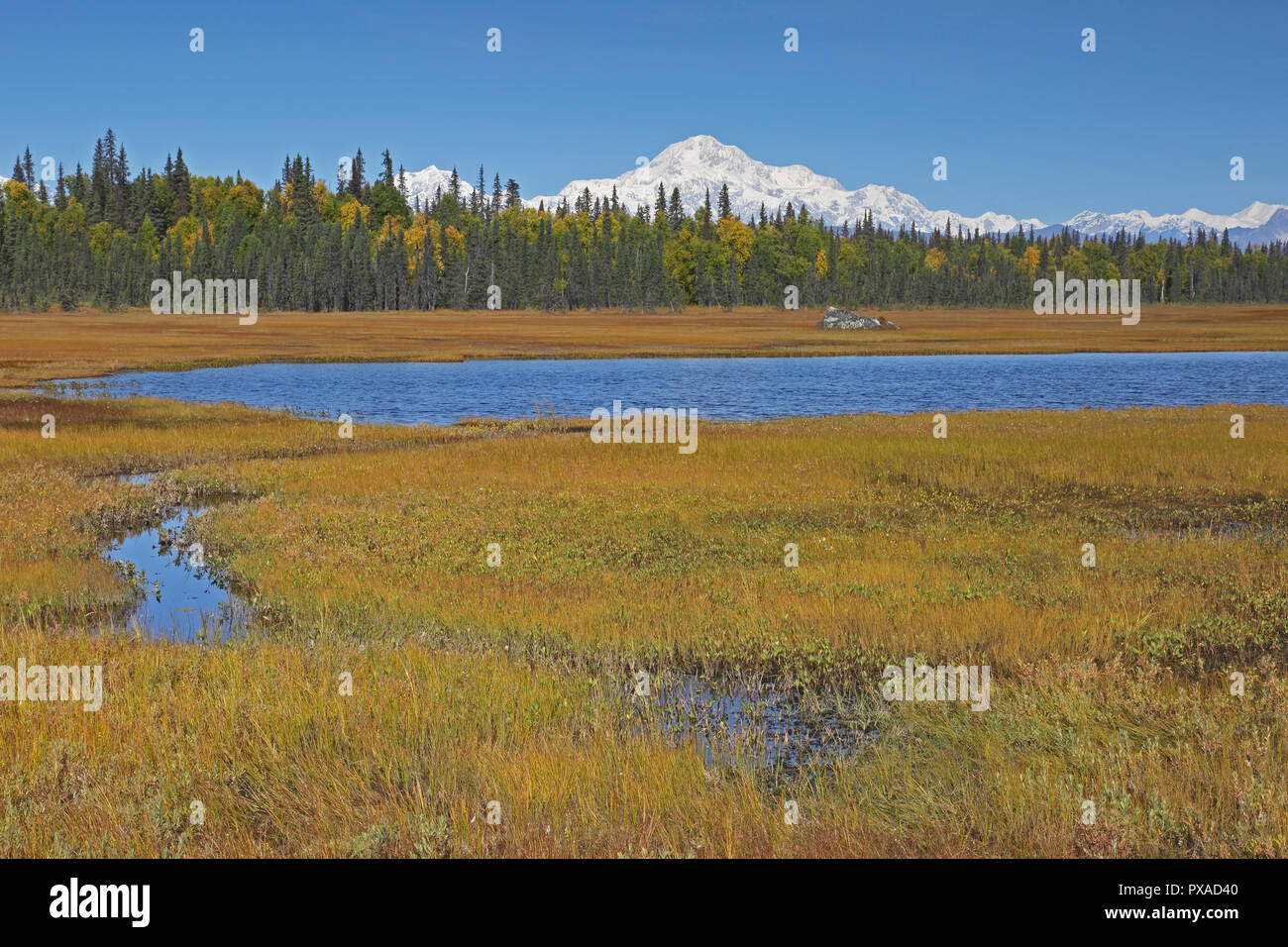View of Mount McKinley showing the snow covered top in Denali National Park Alaska USA Stock Photo