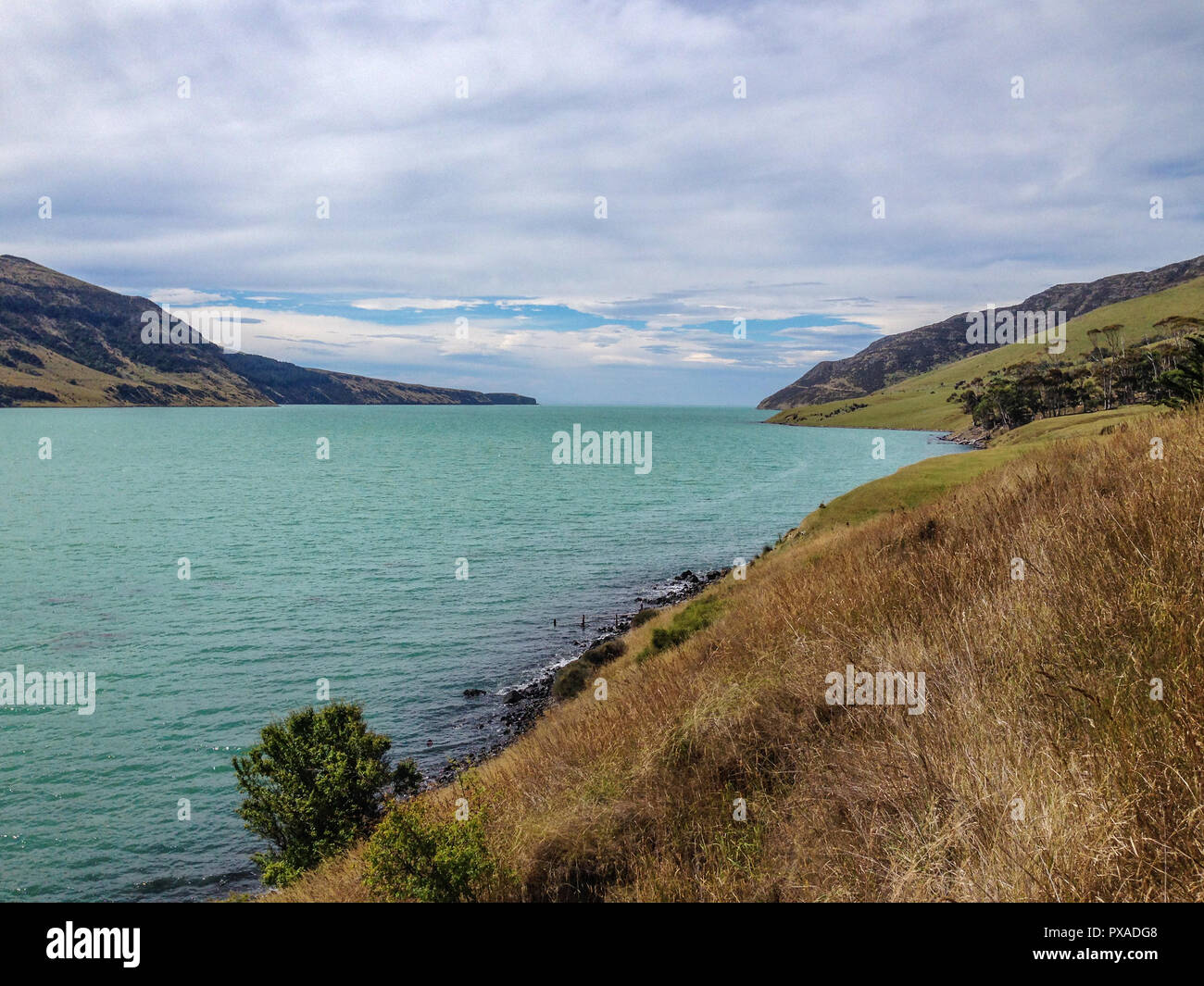 Pigeon bay hi-res stock photography and images - Alamy