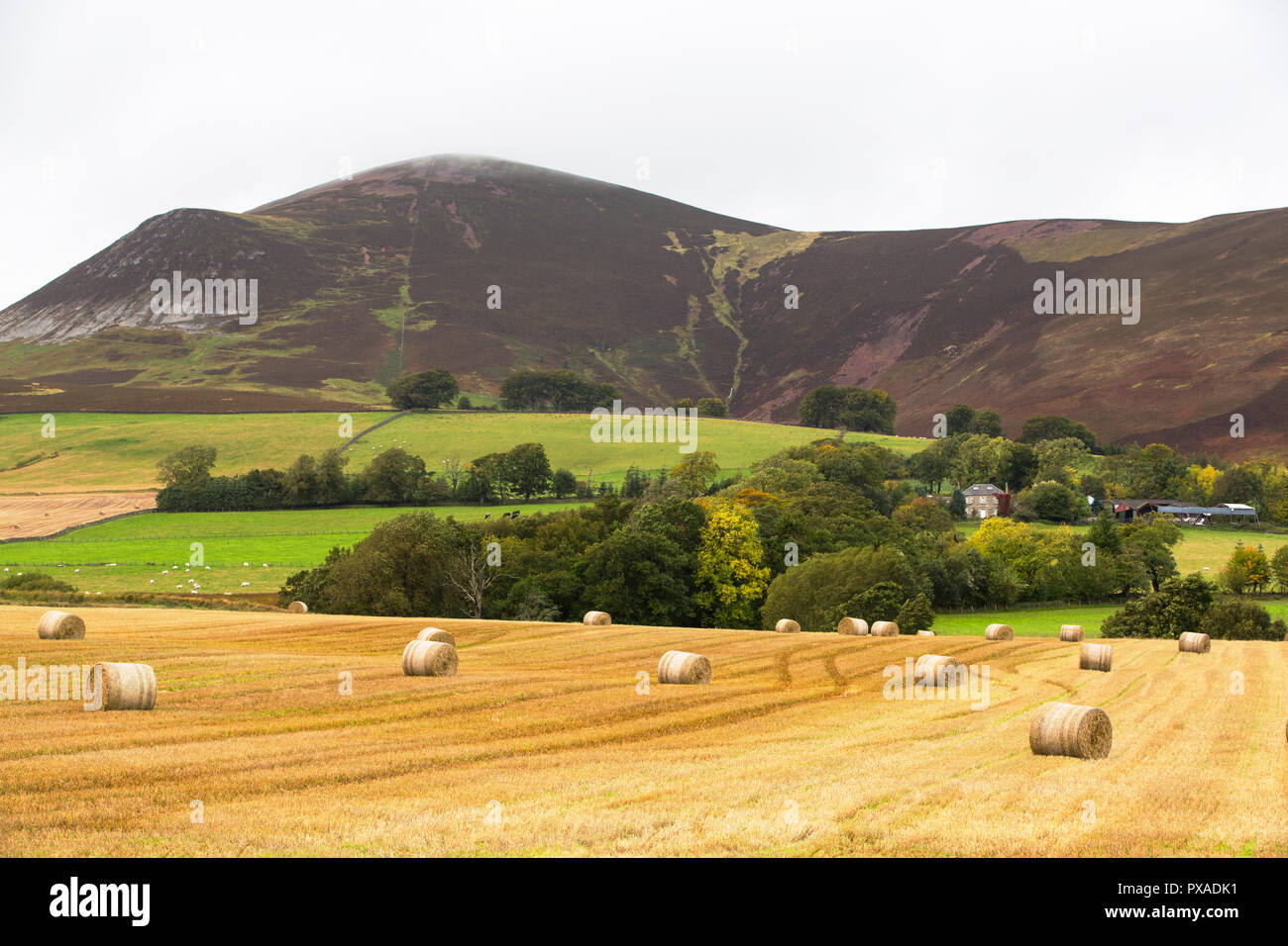 Tinto Hill in South Lanarkshire, Scotland, UK. Stock Photo