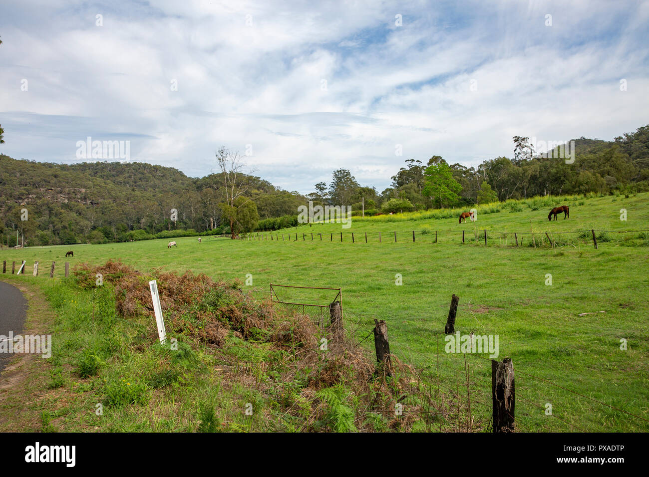 Countryside in Colo , regional New South Wales,Australia Stock Photo