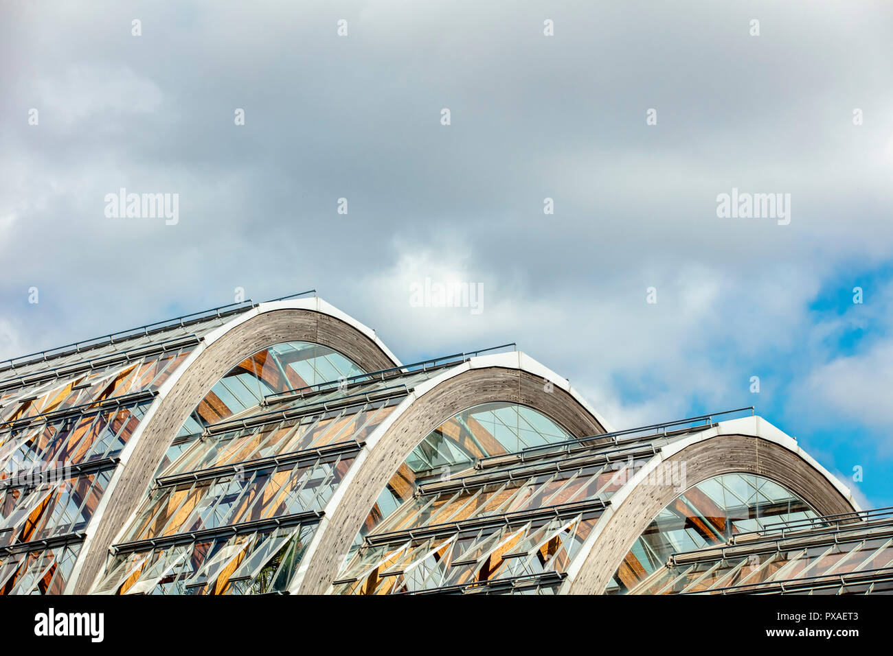 Sheffield, UK- August 31 2018: Sheffield Winter Garden urban greenhouse Timber (glulam) arches architecture details Stock Photo