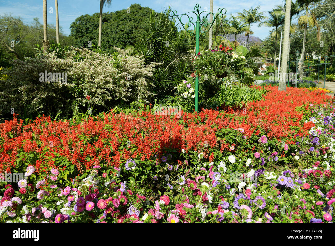 Durban, KwaZuluNatal, South Africa, stand with flower baskets in