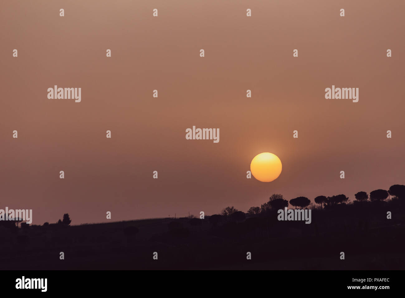 Sunset with sand suspended in the atmosphere, coluring the sky red, over some trees silhouettes Stock Photo