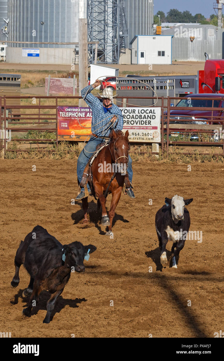 Tie down roping hires stock photography and images Alamy