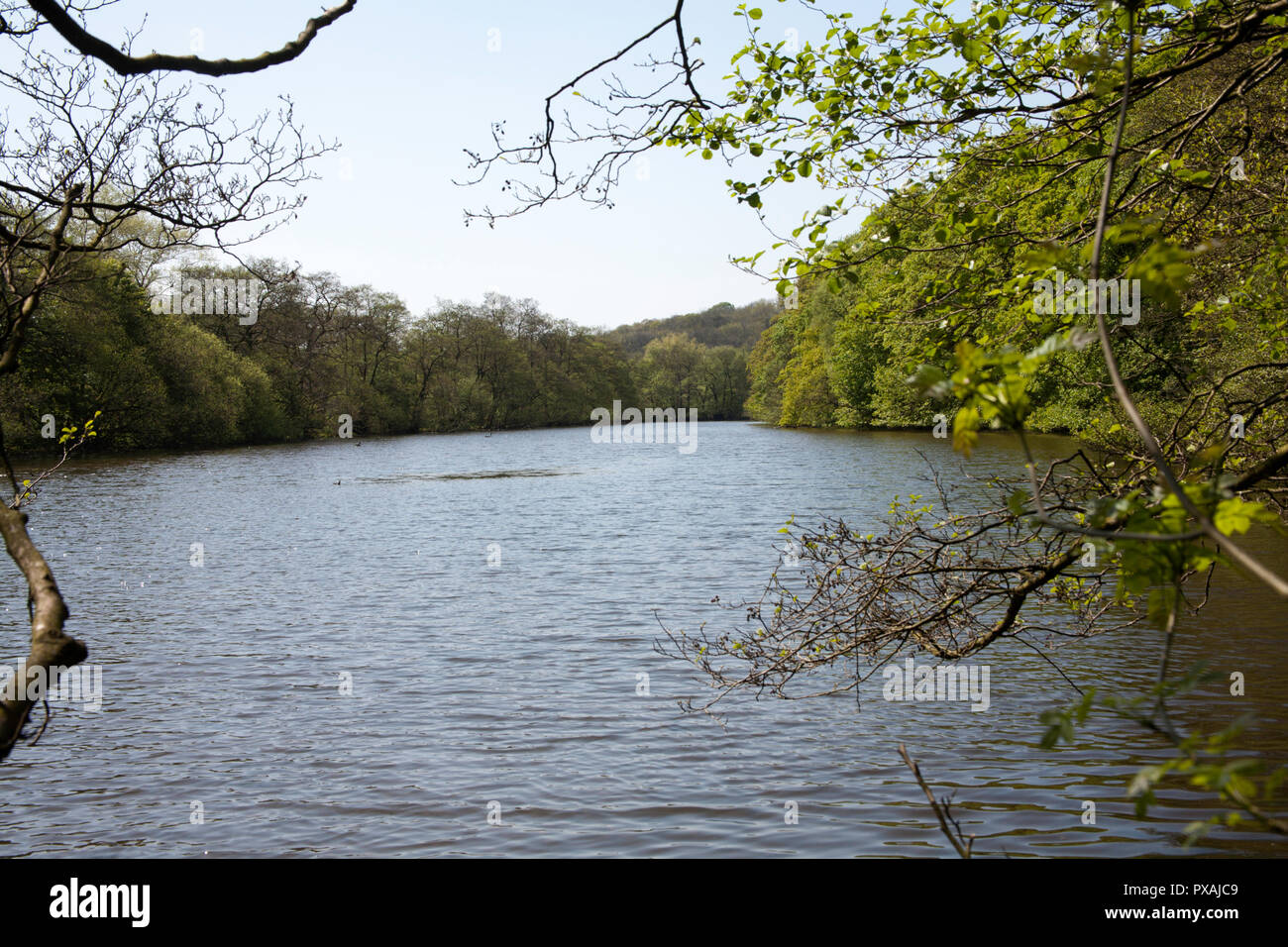 Reservoir on the River Etherow in spring at Etherow Country Park