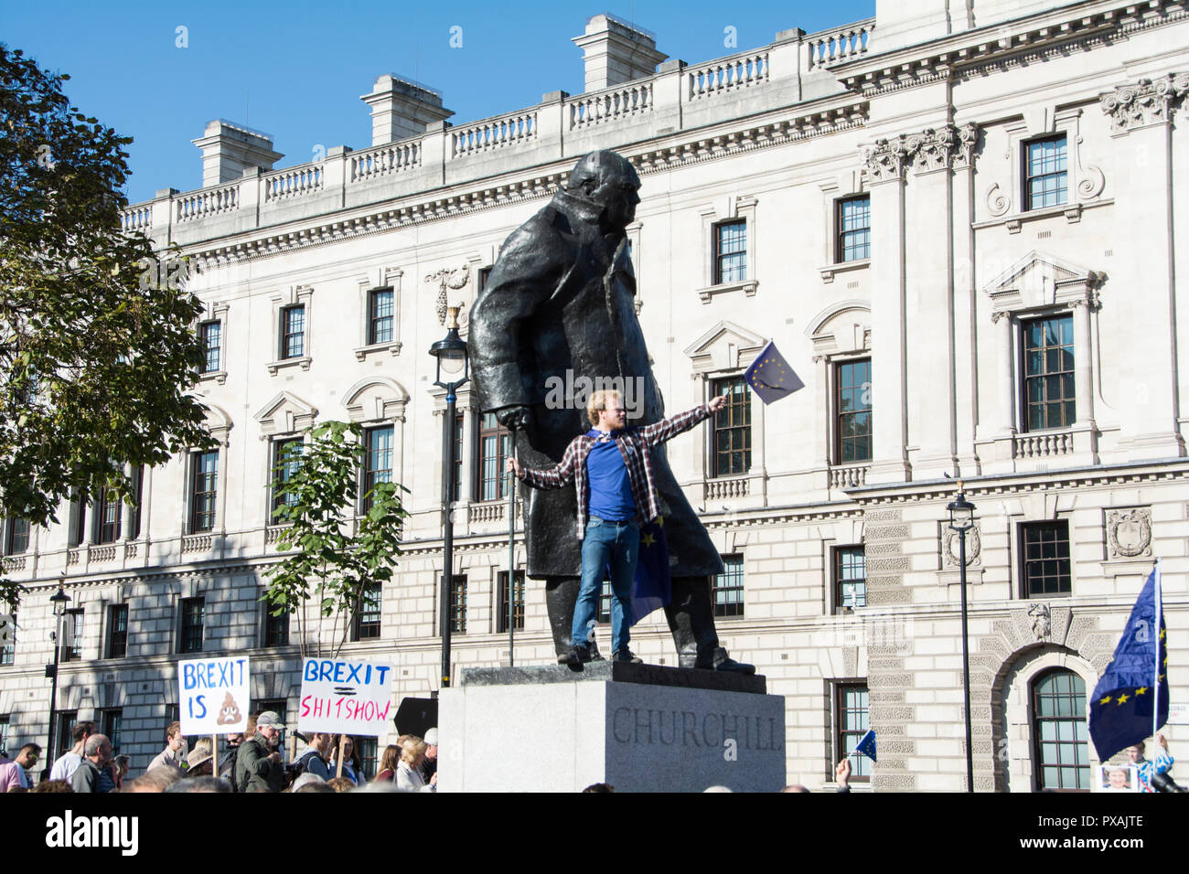London, England, UK. 20 October, 2018.  More than 600,000 people took part in today's People's Vote march to Parliament Square © Benjamin John/ Alamy Stock Photo