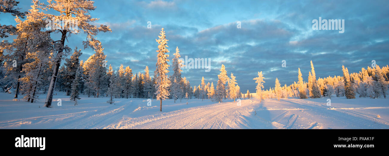 Snowy panoramic landscape, frozen trees in winter in Saariselka, Lapland, Finland Stock Photo