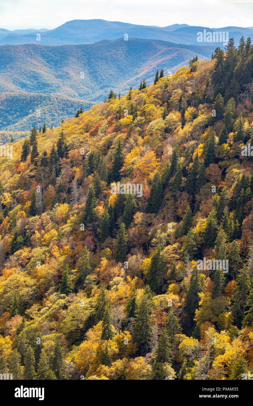 Fall Color on the Blue Ridge Parkway, North Carolina, USA Stock Photo