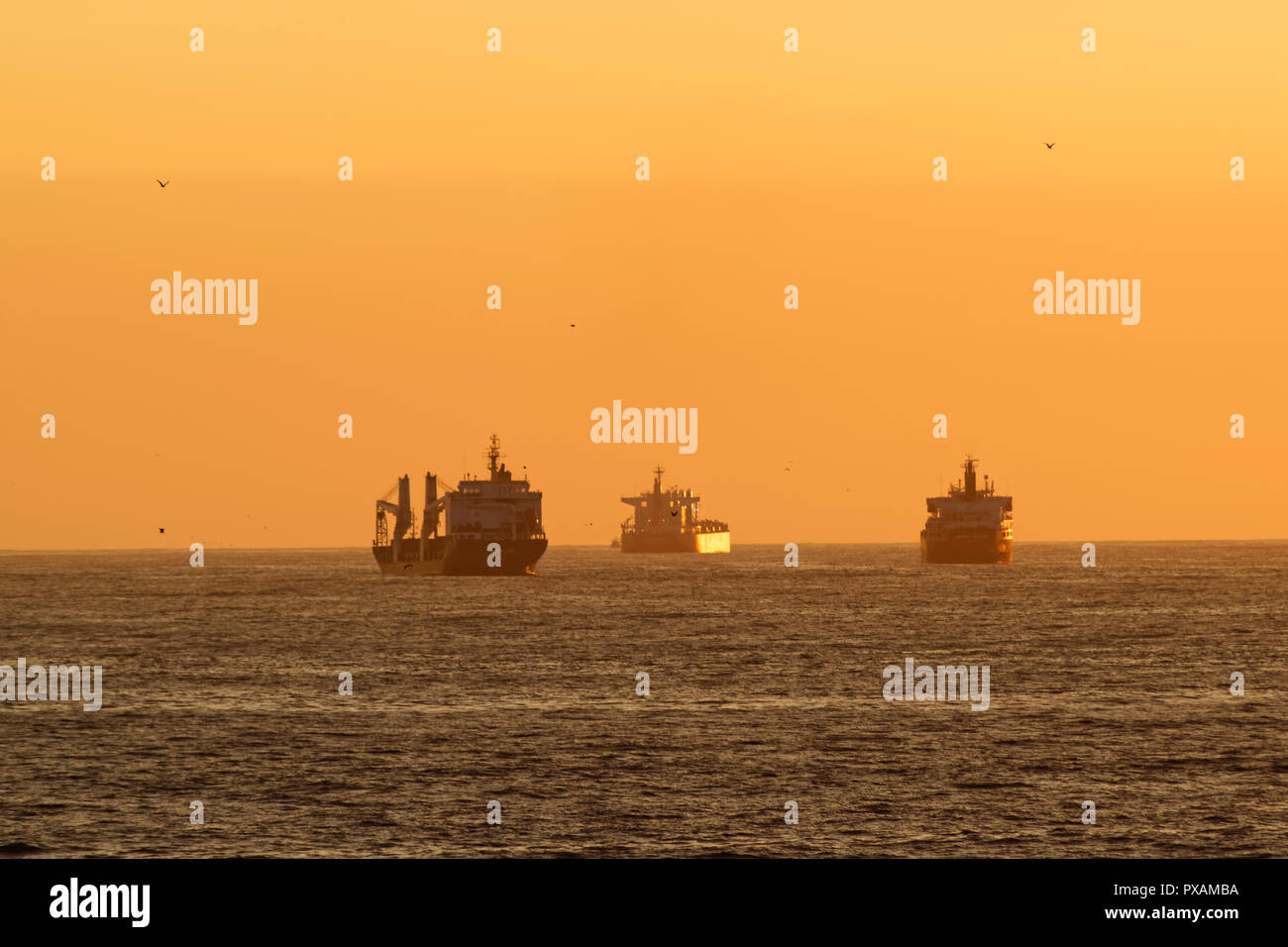 Cruise cargo ships container hi-res stock photography and images - Alamy