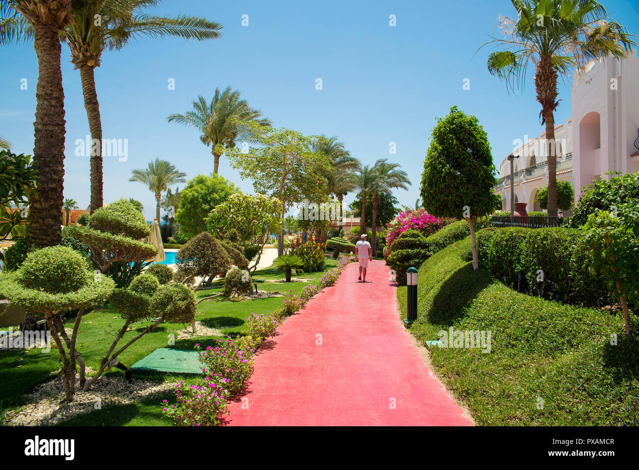 beautiful park with flowers and palm trees Stock Photo - Alamy