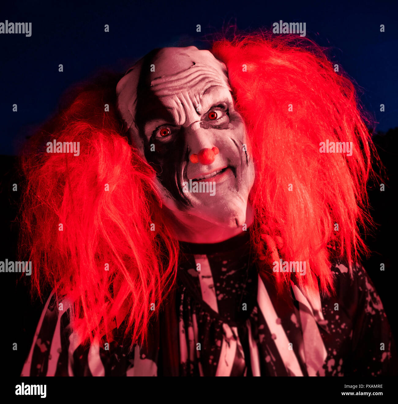 Head clown red nose hi-res stock photography and images - Alamy