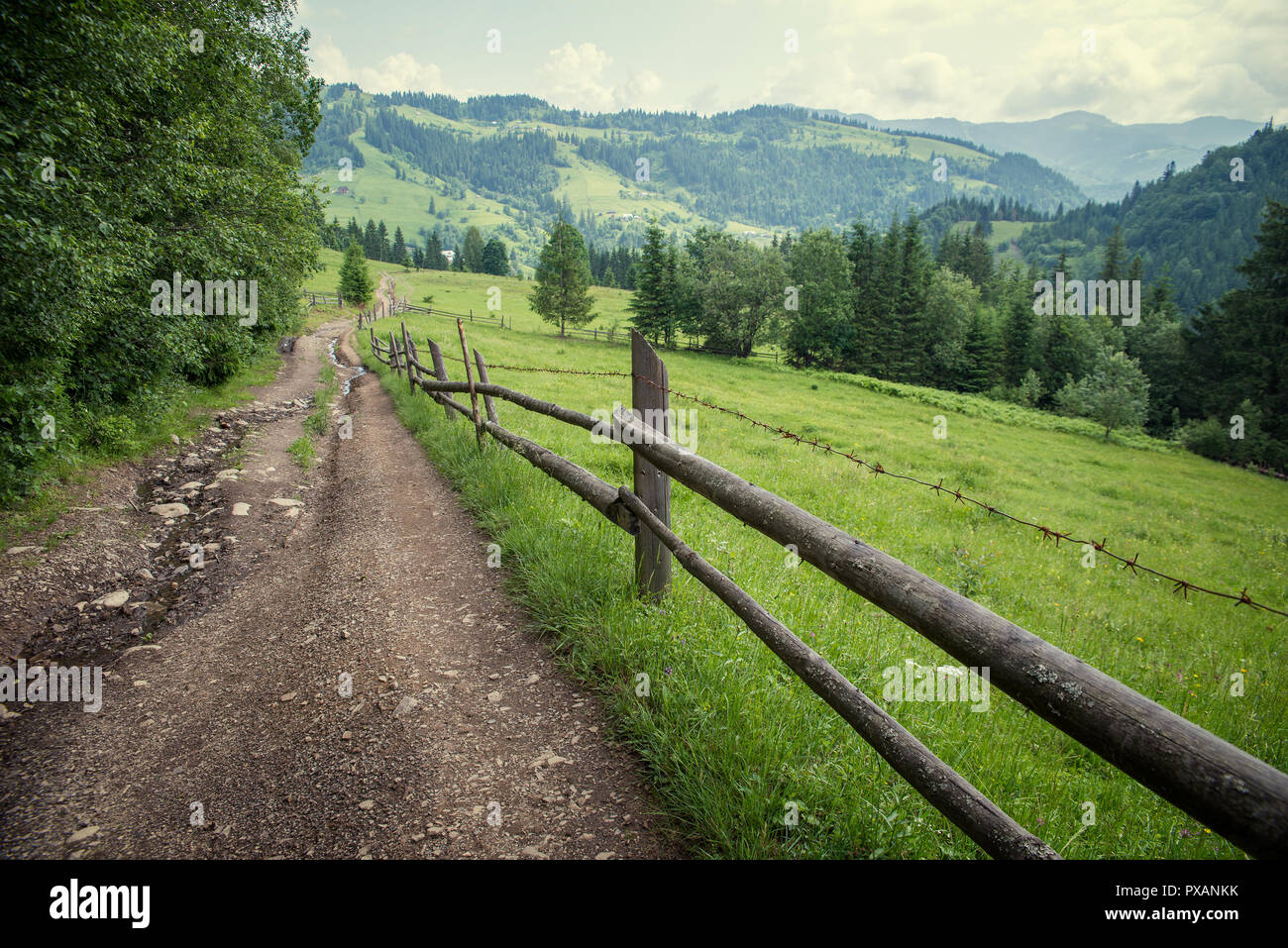 the Carpathian mountains in summer Stock Photo