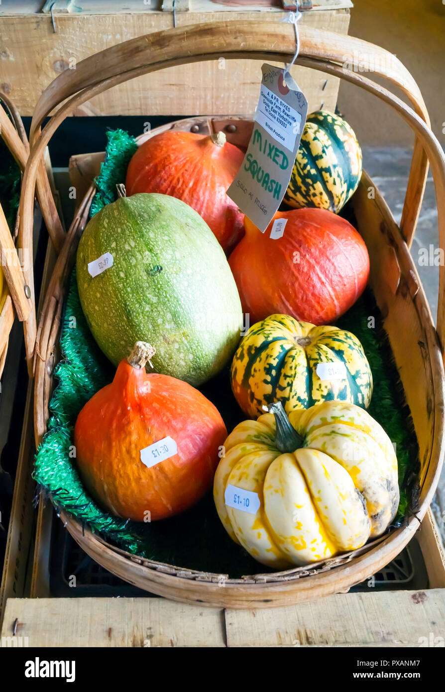 Assorted priced Squashes for sale in a greengrocers shop in North Yorkshire in autumn with prices Stock Photo