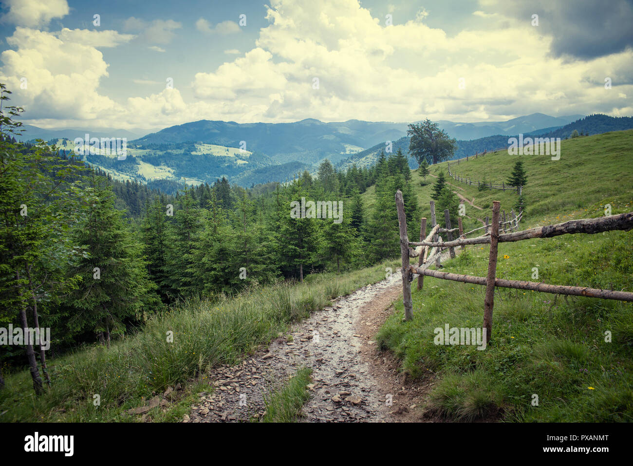 the Carpathian mountains in summer Stock Photo