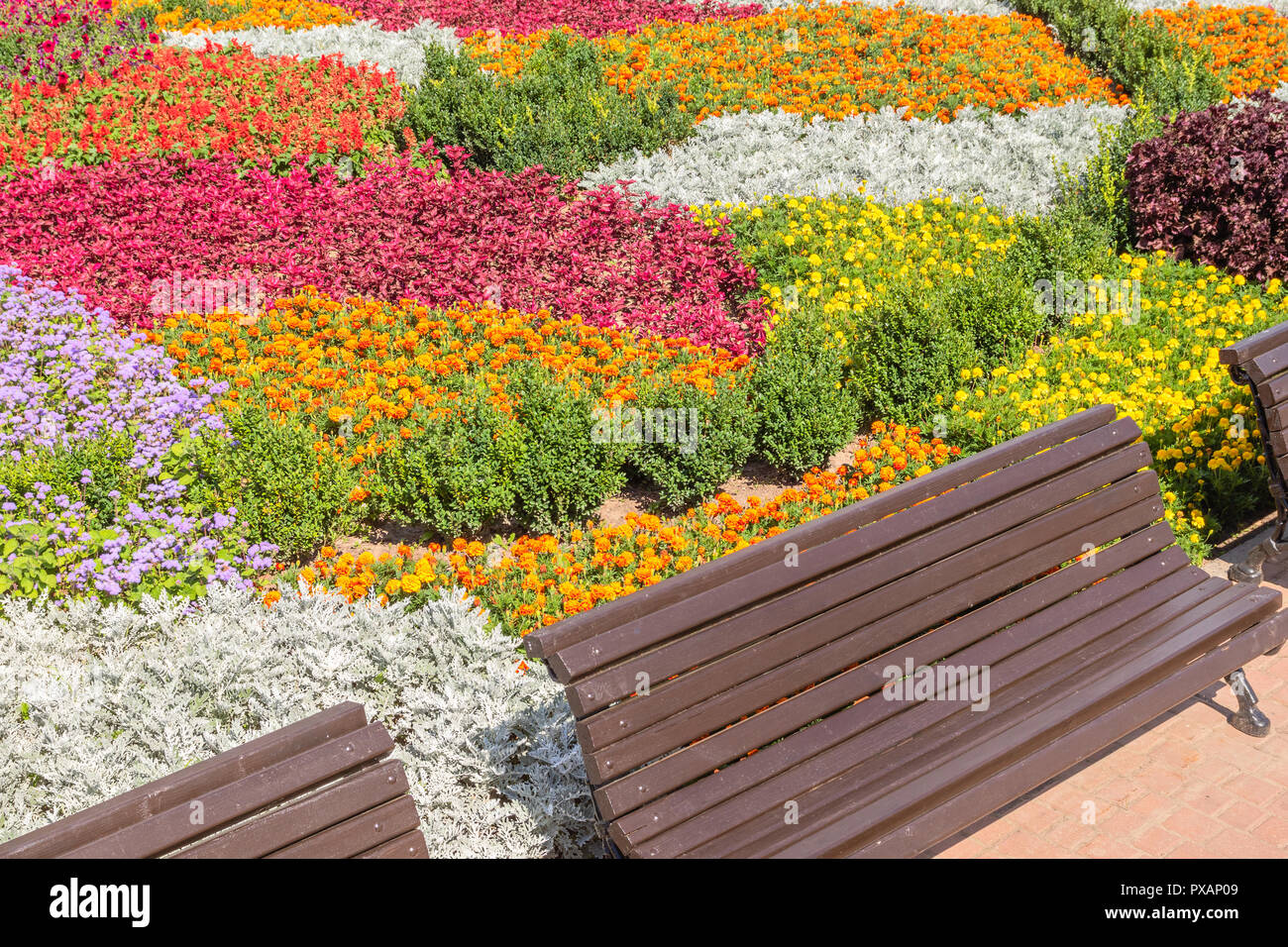 Cityscape With Colorful Flower Bed And With Benches Stock Photo