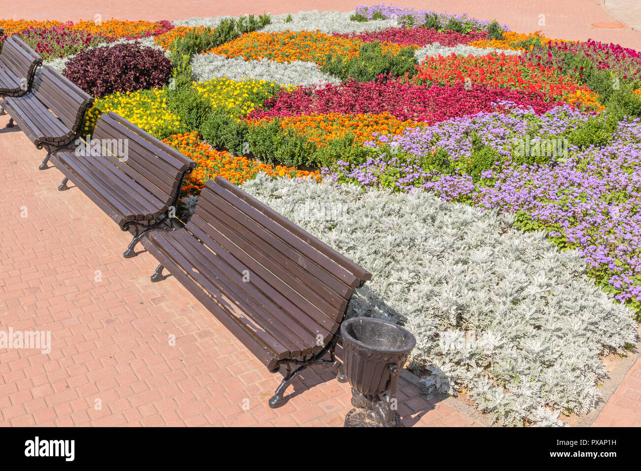 Cityscape With Colorful Flower Bed And With Benches In Perspective