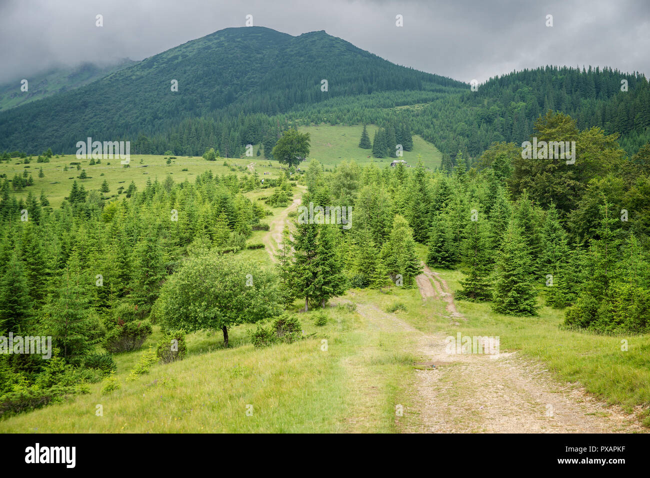 landscape in the Carpathian mountains Stock Photo