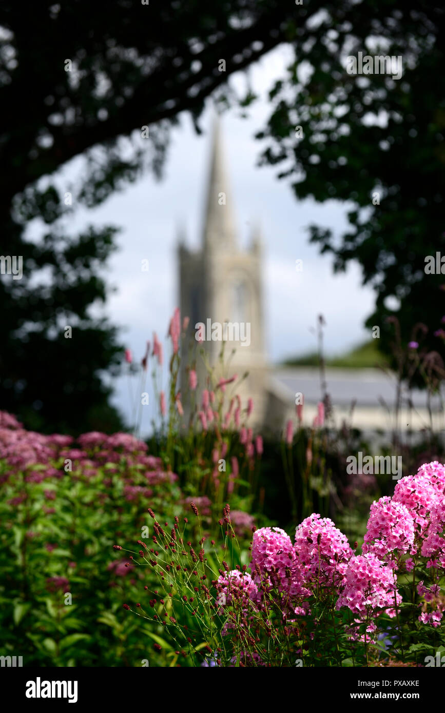 phlox paniculata bright eyes,,pink,white,flower,flowers,flowering,mix,mixed,combination,church spire,view,viewpoint,R Stock Photo