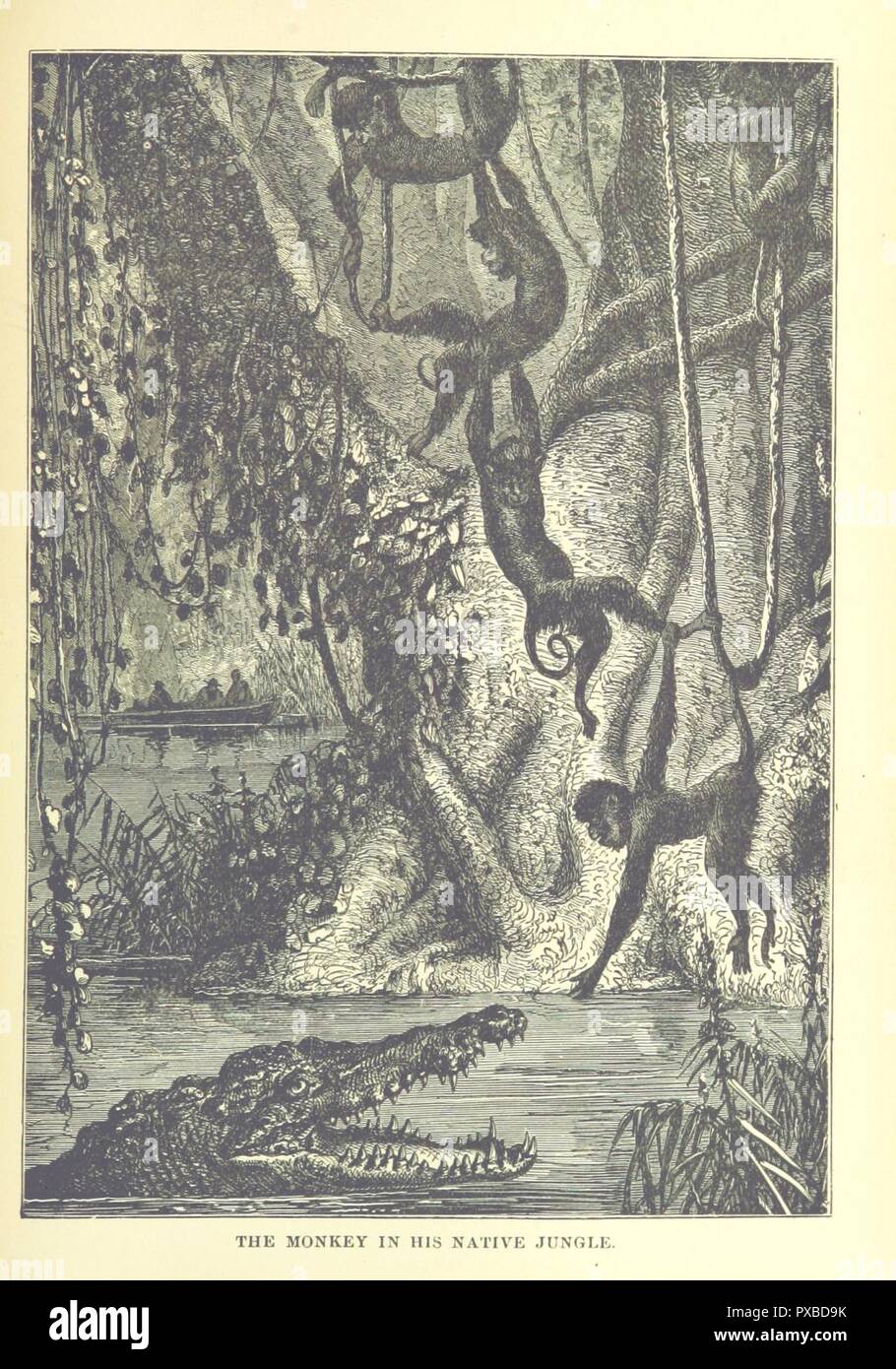 Page239