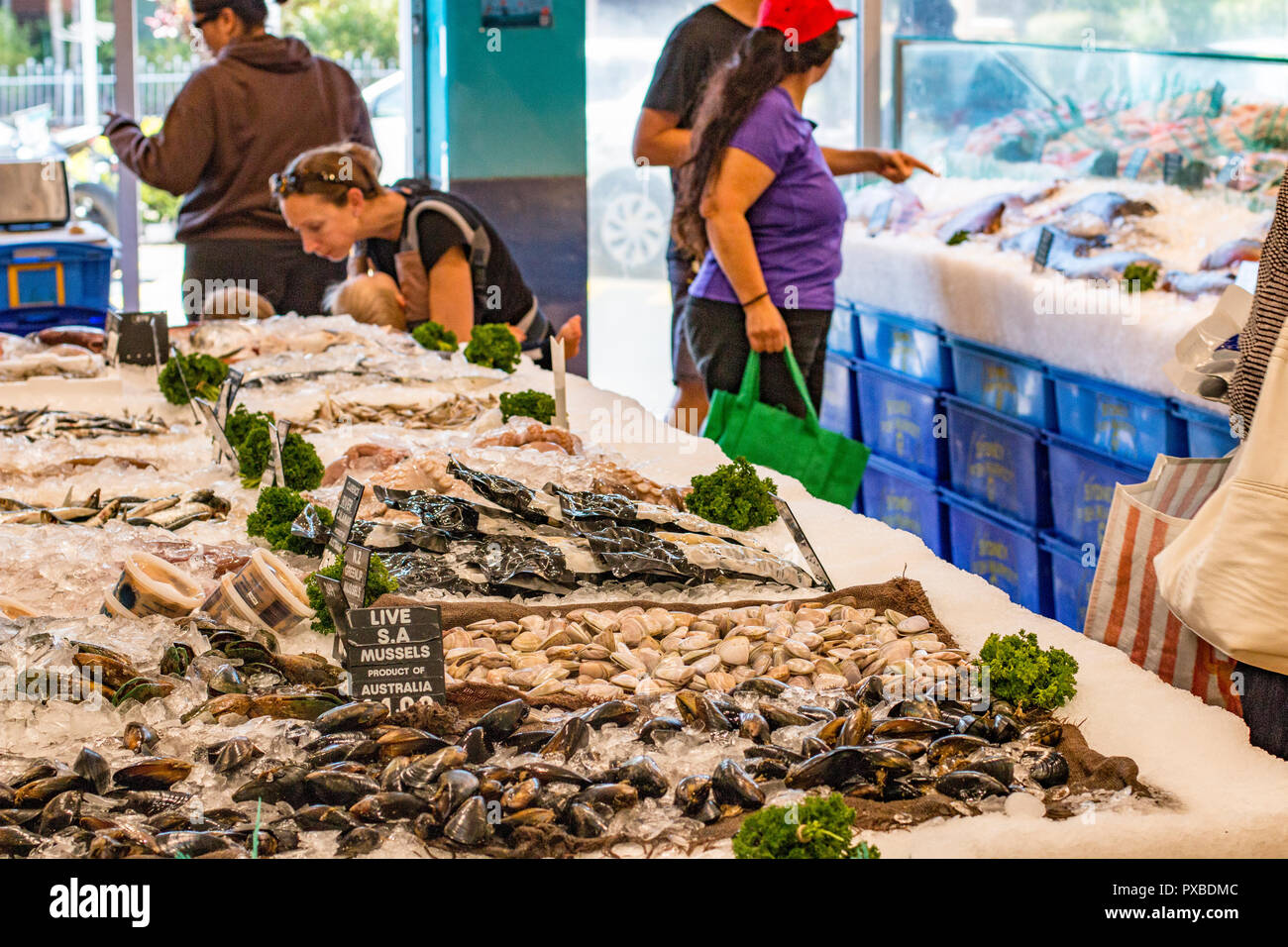 Sydney fishmonger selling fresh seafood,mussels and oysters,Sydney,Australia Stock Photo Alamy