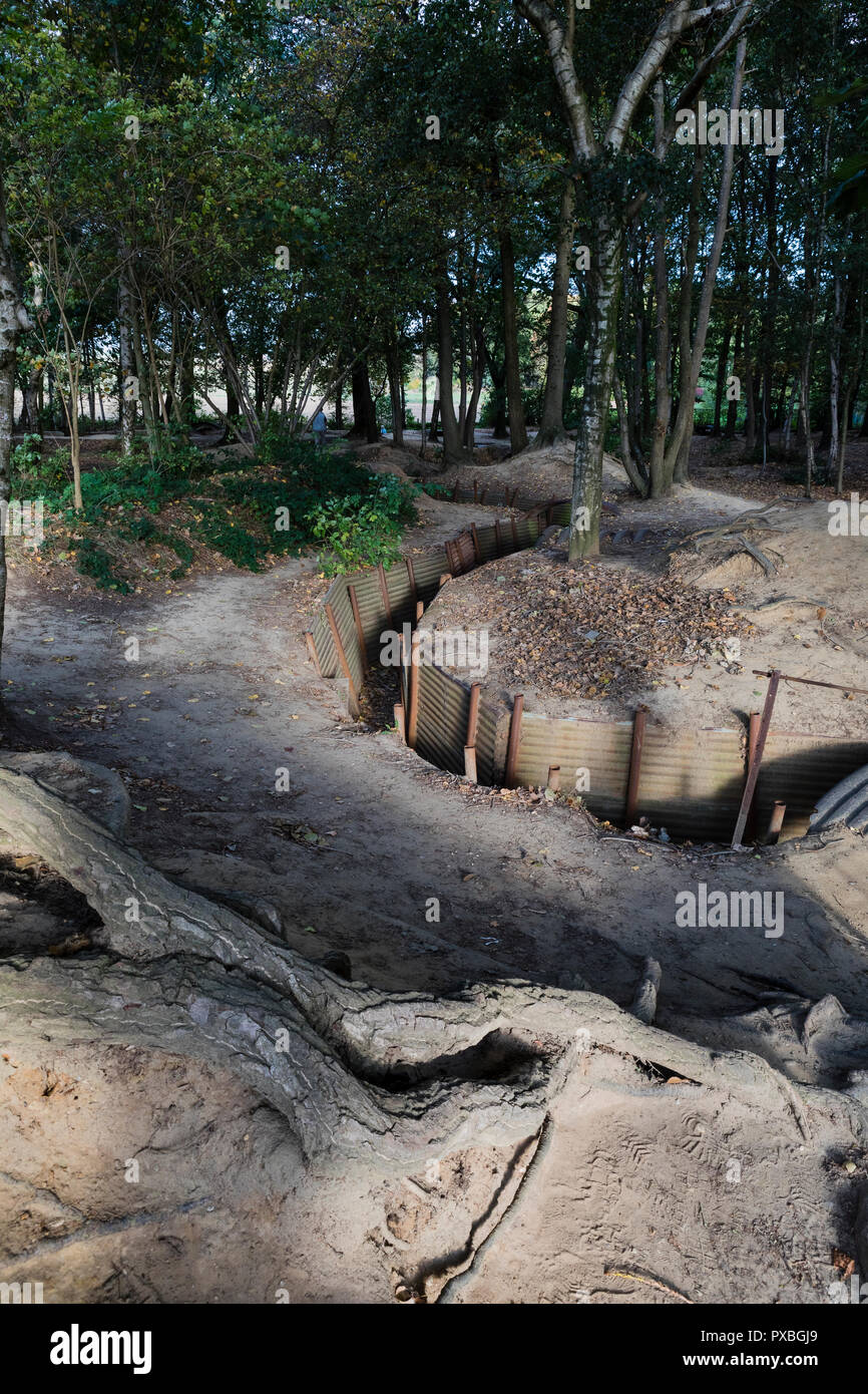 Sanctuary Wood trenches and discarded shells in Ypres, Belgium Stock Photo