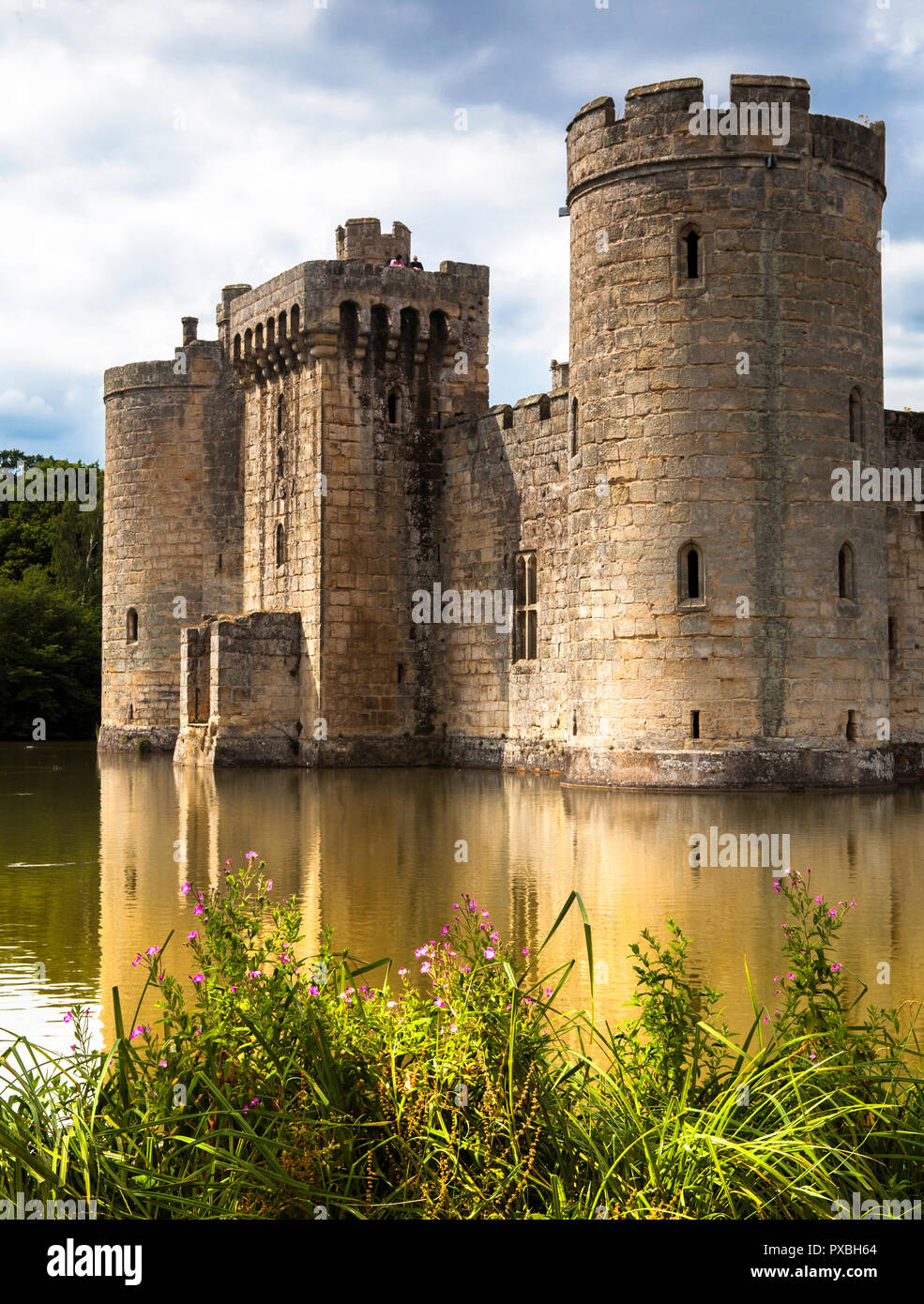 Bodiam Castle with flowers in the foreground Stock Photo