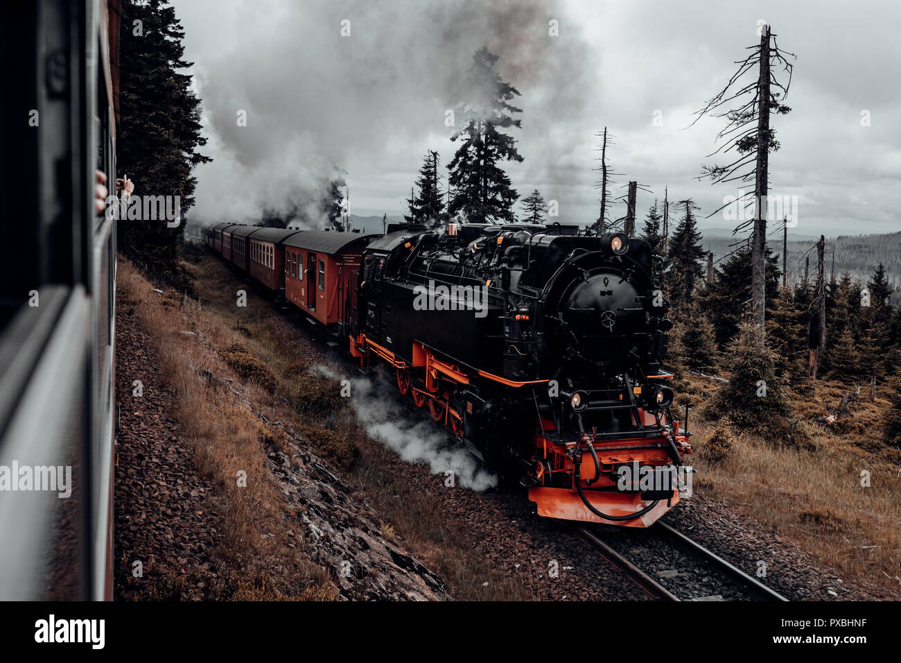 Steam locomotive of the Harz narrow-gauge railway goes to Brocken Stock Photo