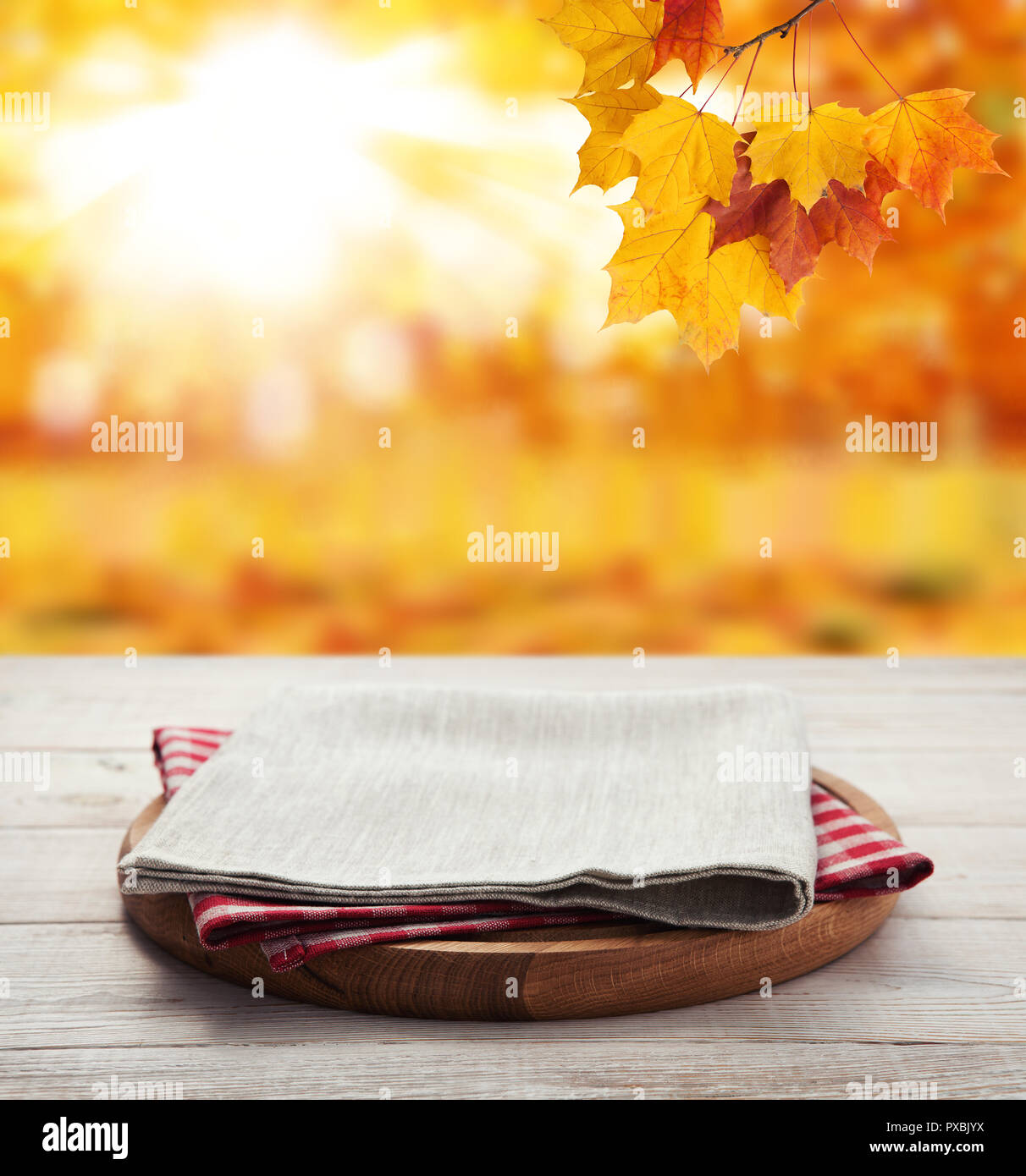 autumn dish towels