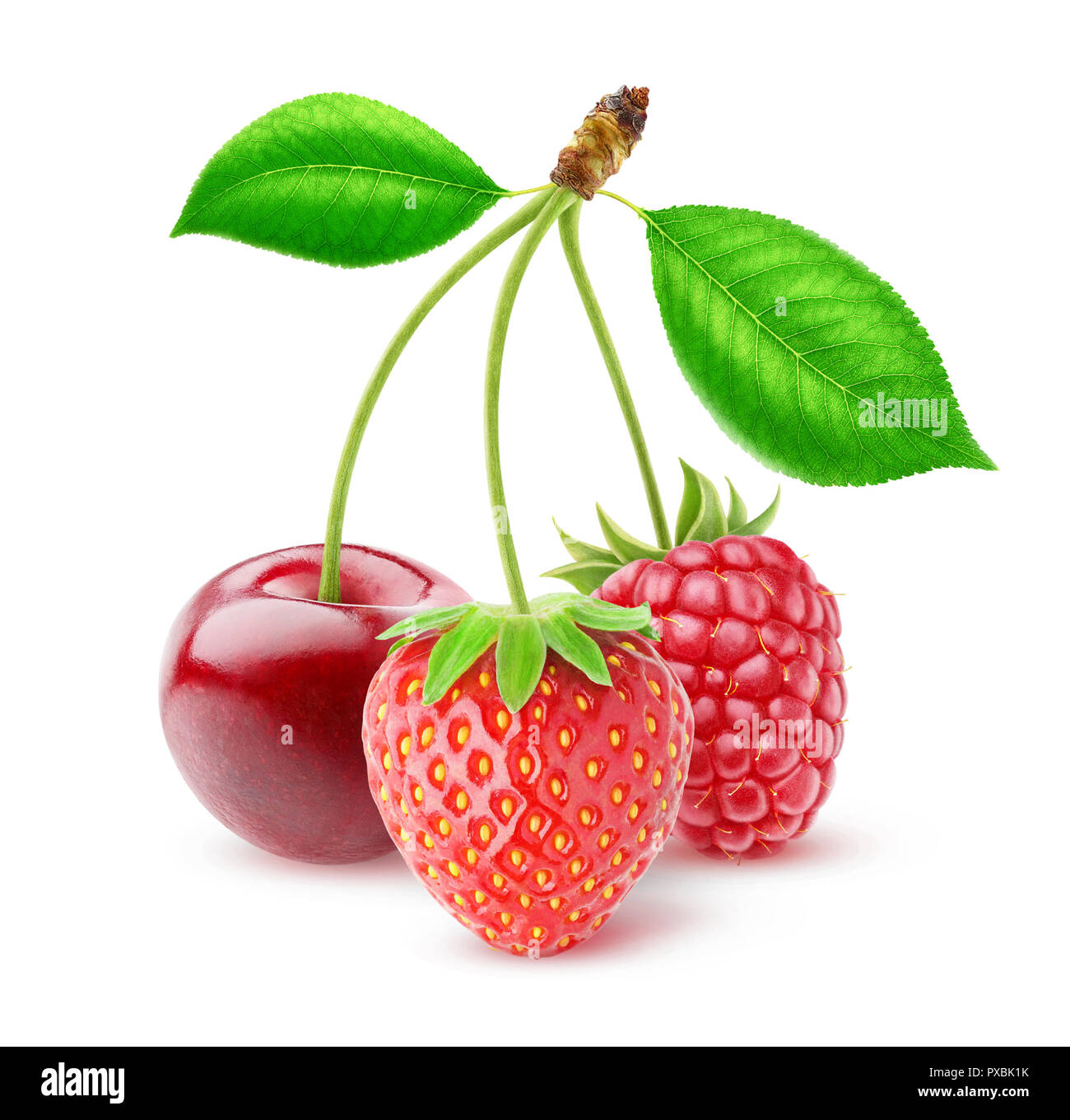 Three isolated berries. Cherry, strawberry and raspberry on stems together (three in one concept) on white background, with clipping path Stock Photo