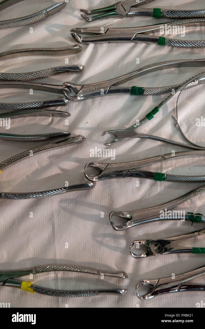 Dental forceps laid out sterilized and ready to be used Stock Photo Alamy
