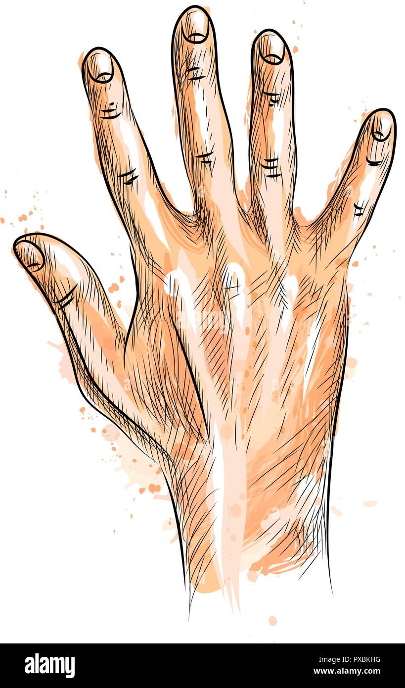 hand showing five fingers Stock Vector