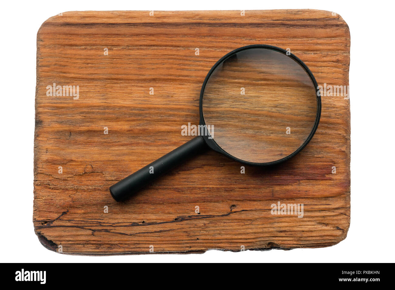Study of wood texture through a magnifying glass, isolated on a white
