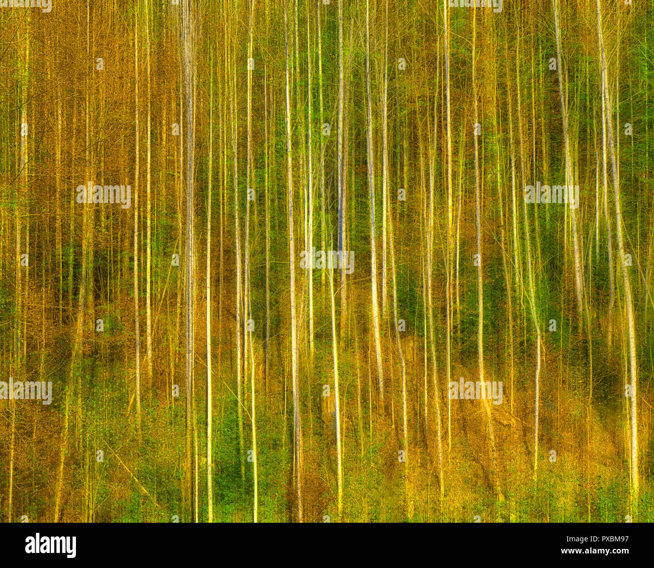 Photographic technique icm hi-res stock photography and images - Alamy