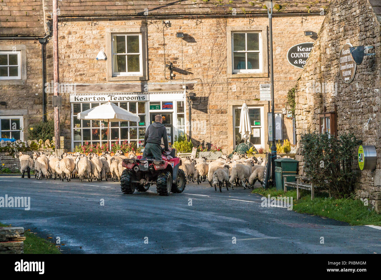 A farmer on a quad bike escorts a flock of sheep through the rural village of Thwaite, Swaledale, Yorkshire Dales, UK Stock Photo