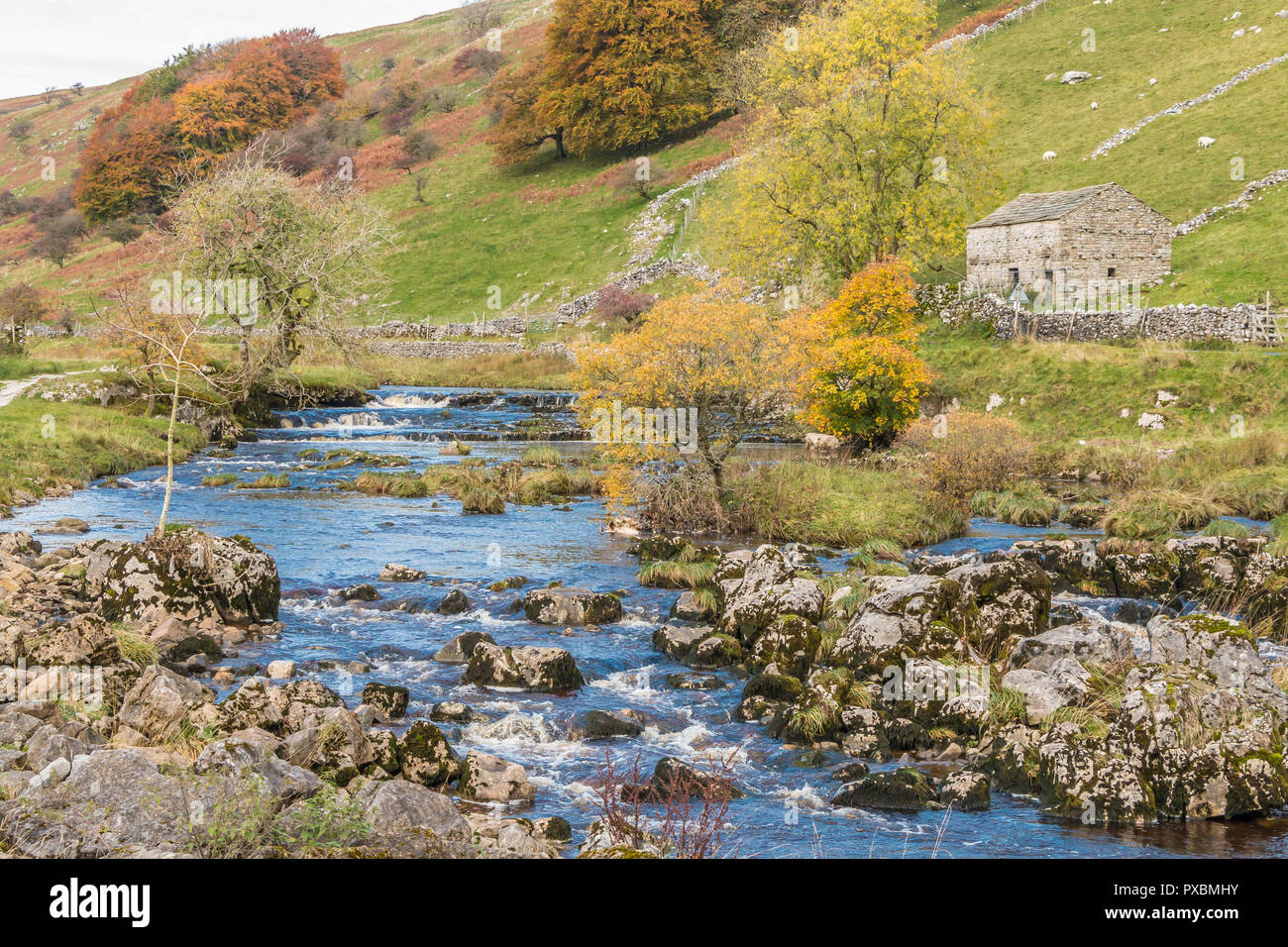 Yorkshire Dales National Park Autumn Landscape The Upper Reaches Of