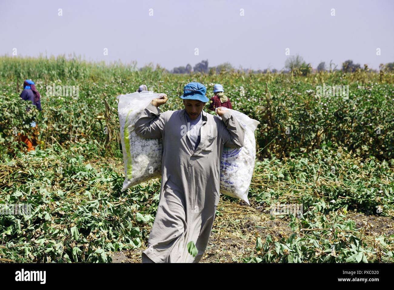 Egyptian farmers hires stock photography and images Alamy