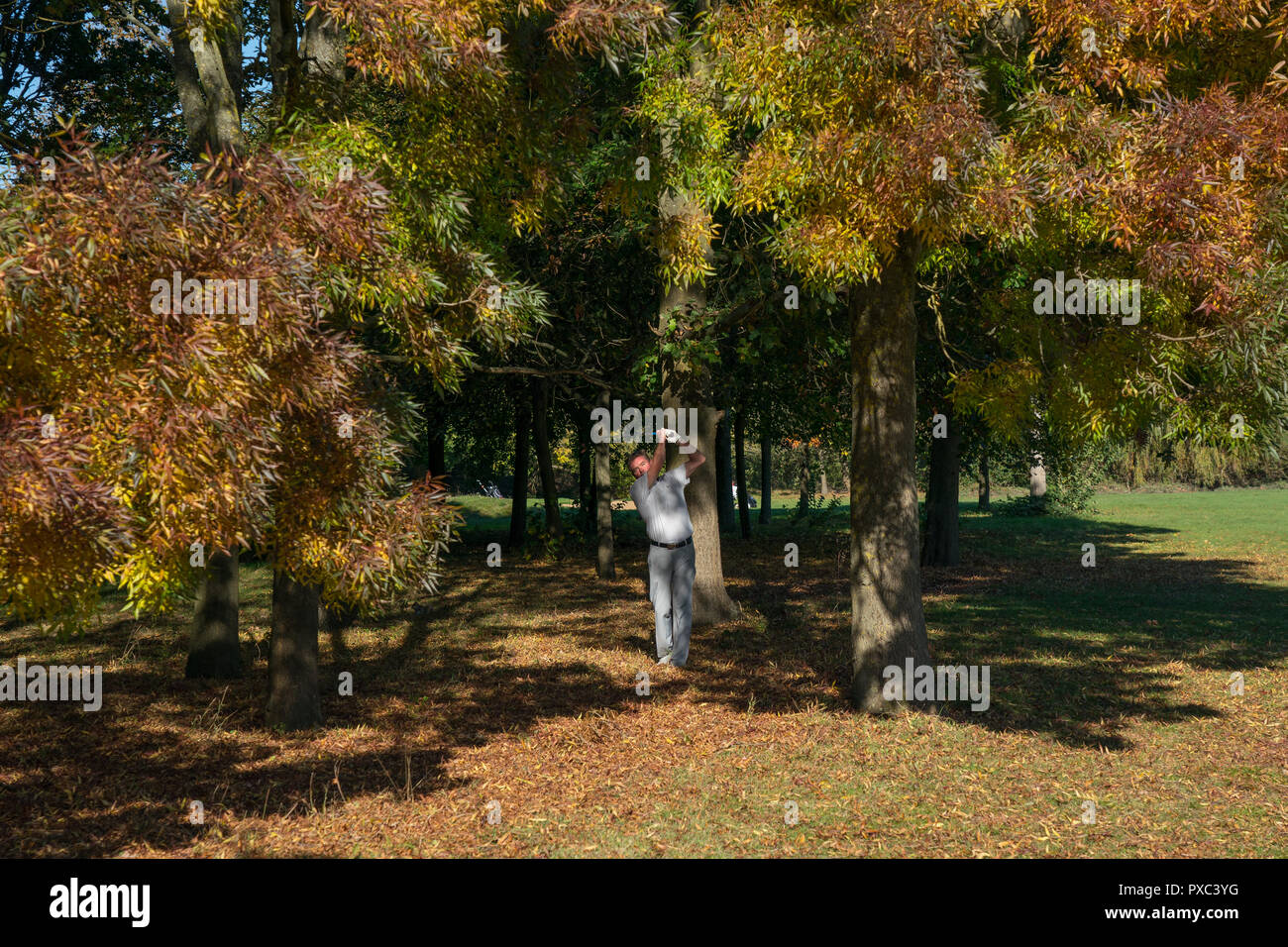 London, UK. 21st Oct 2018. Golfers enjoying sunny autumn weather on Brent Valley golf course in London. Photo date: Sunday, October 21, 2018. Photo: Roger Garfield/Alamy Entertainment Credit: Roger Garfield/Alamy Live News Stock Photo