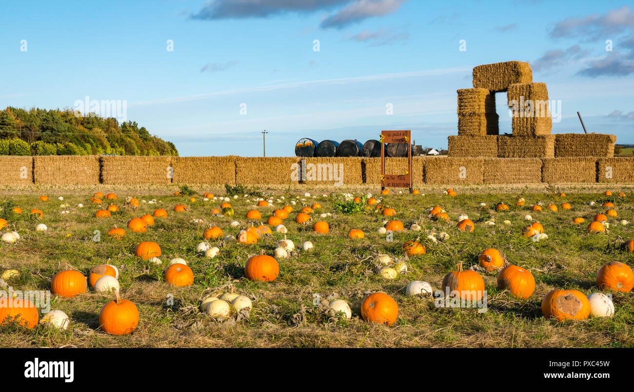 Kilduff farm hires stock photography and images Alamy