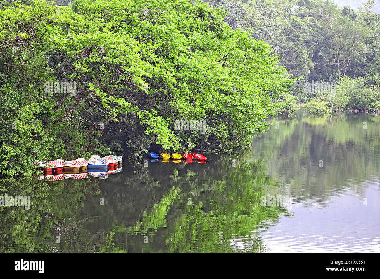 Kayaking and pedal boating water sport vessels for rent anchored in tranquil and picturesque lake in Kerala, India Stock Photo