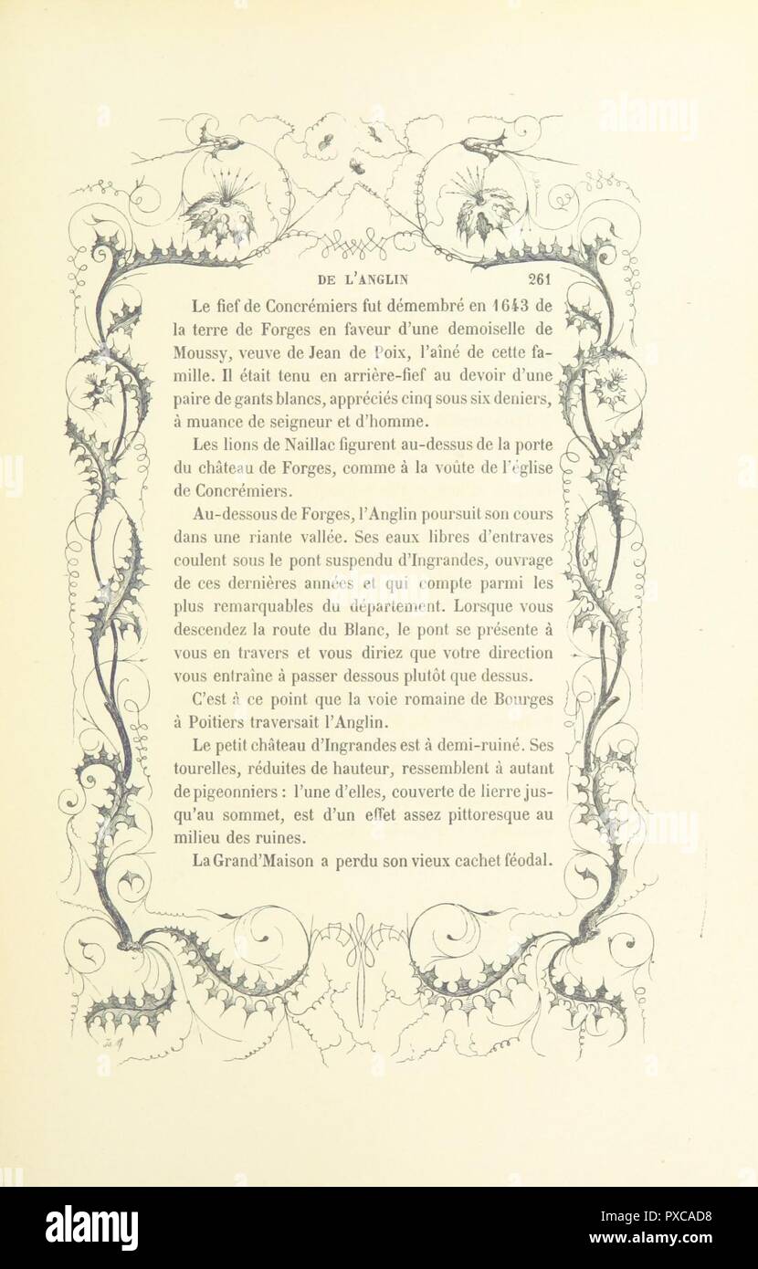 page 333 of 'Esquisses pittoresques sur le département de l'Indre. Texte par MM. De La Tramblais, De La Villegille, et J. de Vorys. Dessins par I. Meyer' . Stock Photo
