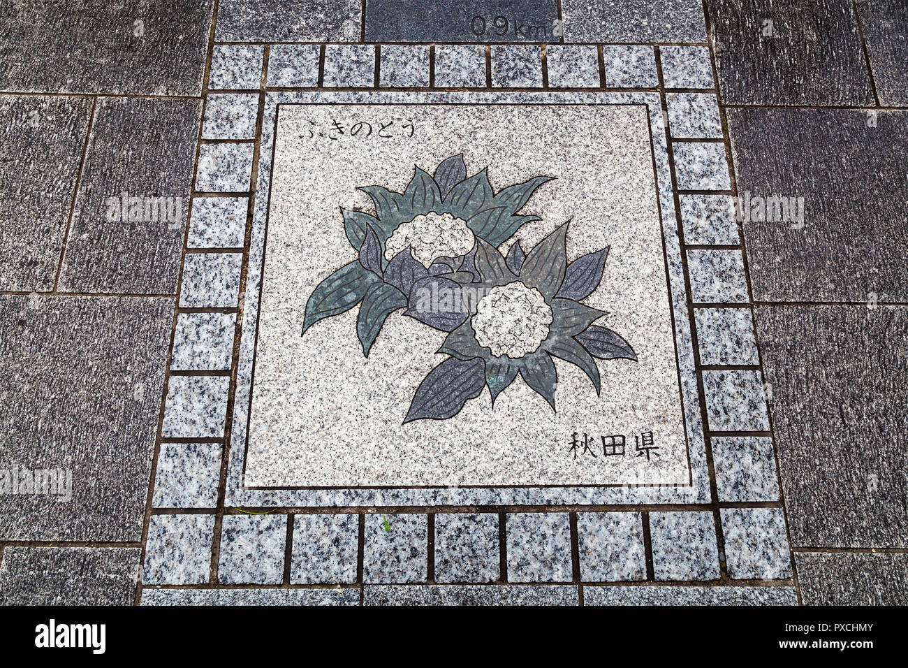 Specialized sidewalk in in Japan with distance notification to ancient site. Stock Photo