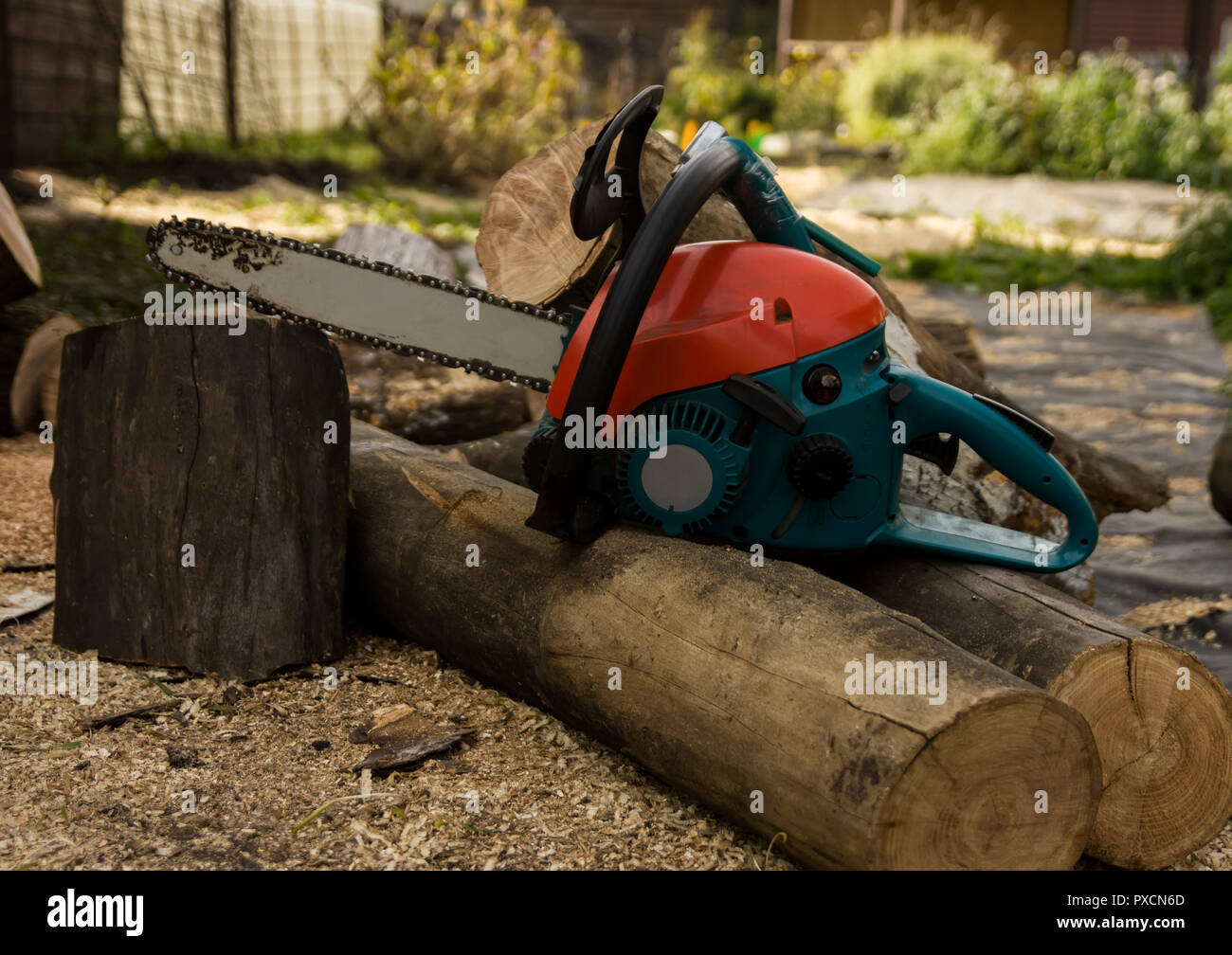 Lumberman using chainsaw sawing dry wood lying on ground Stock Photo