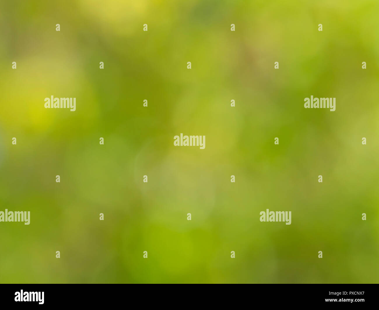 Abstract green nature blurred background with bright sunlight, flare ...