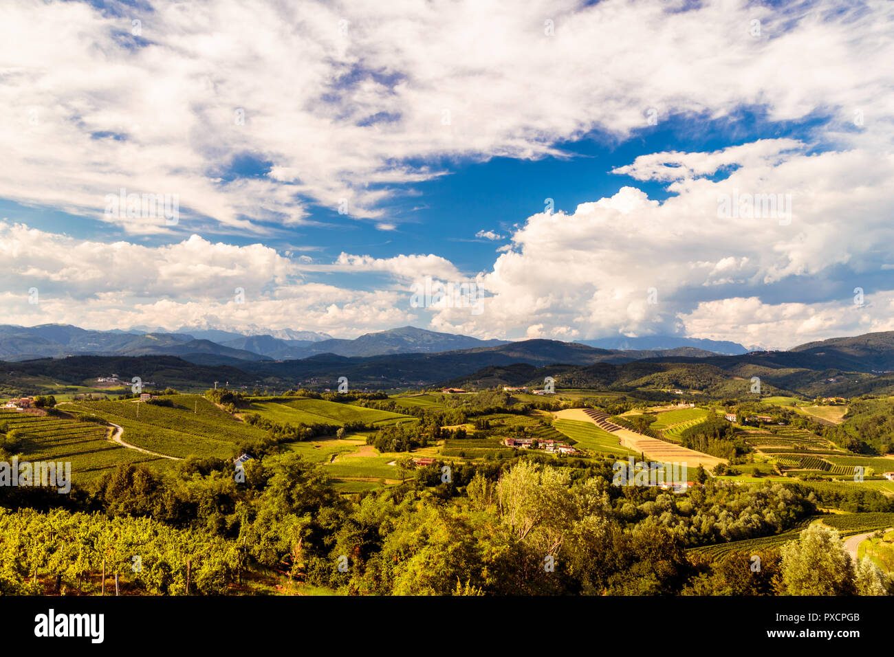 Slovenia italian border vineyard hi-res stock photography and images ...