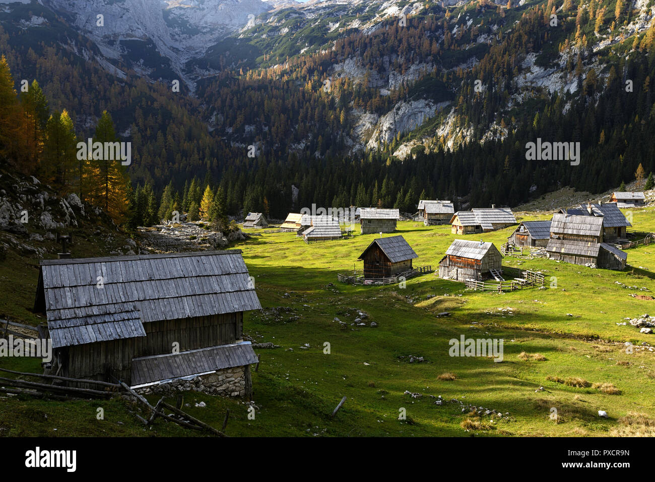 colorful alpine meadow and wooden huts in autumn, Slovenia, Stock Photo