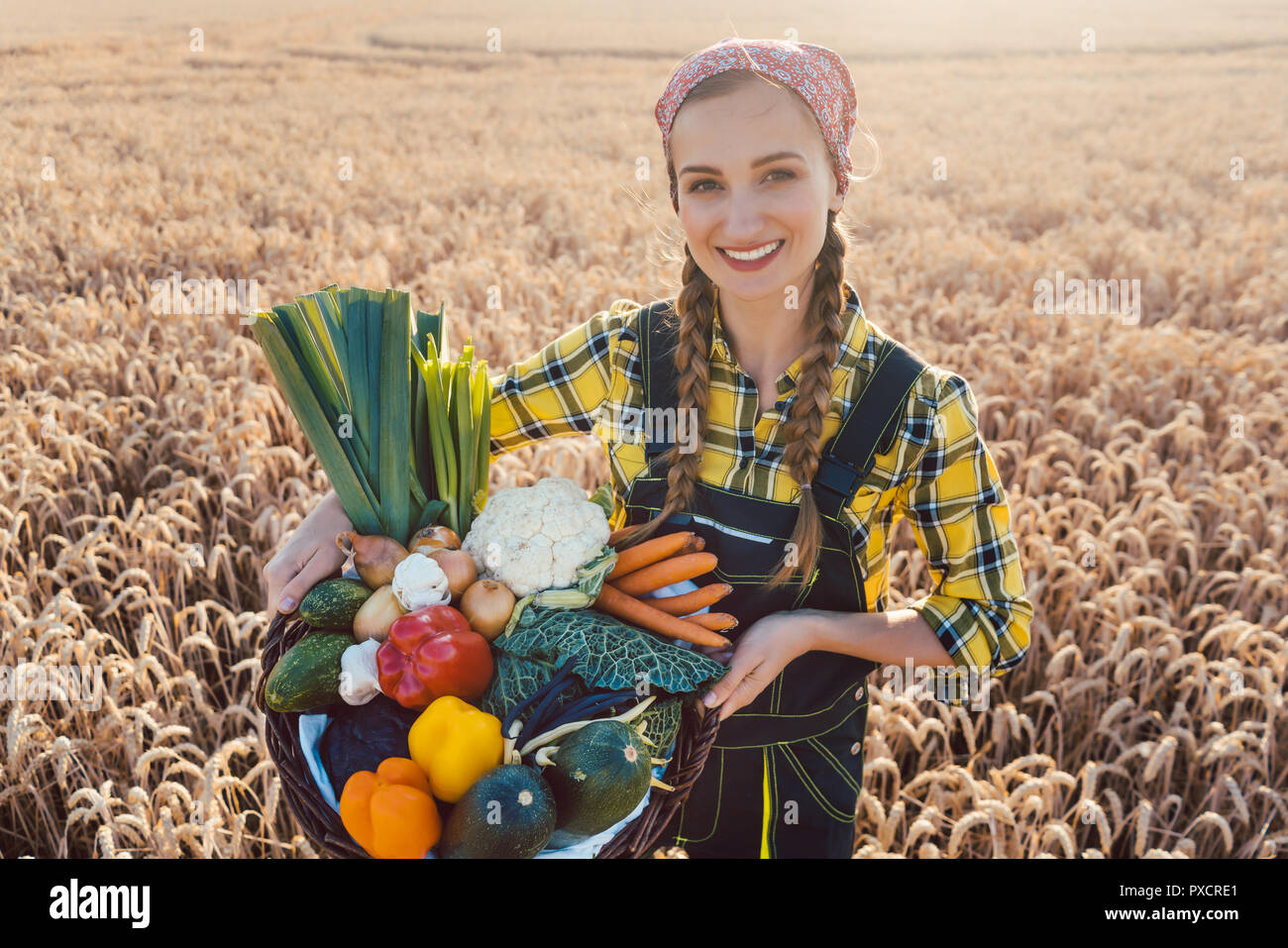 Harvest time in the country, woman farmer offering vegetables Stock ...