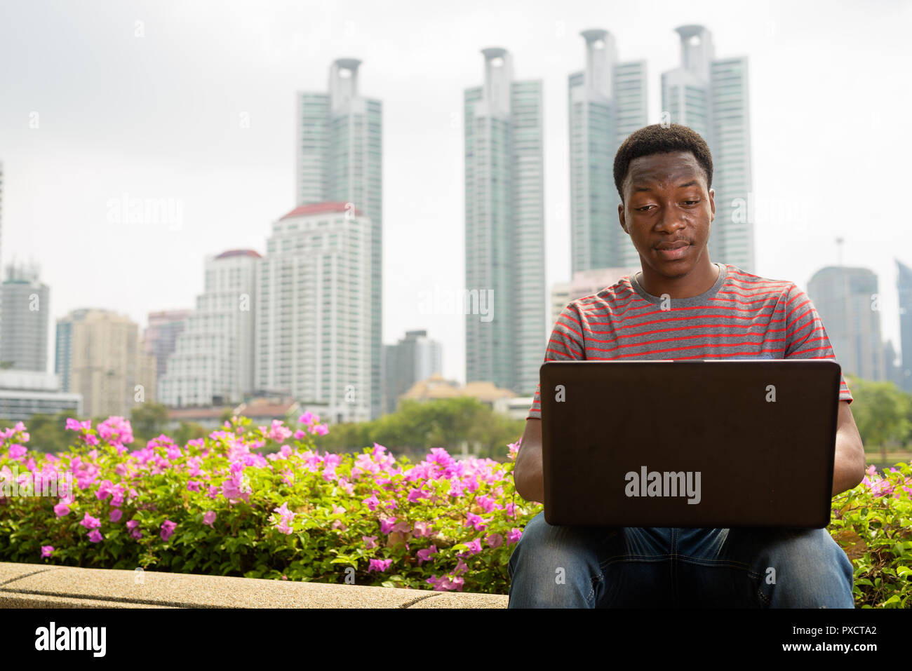 Young handsome African man using laptop computer in park Stock Photo