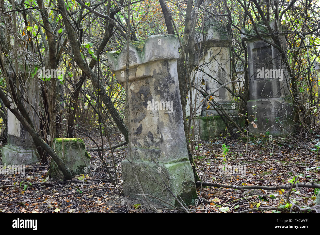 Vienna, Austria, Sankt Marxer Friedhofspark. As 'Communal cemetery' the area was occupied from 1784 to 1874. Oldest preserved cemetery in Vienna. Rest Stock Photo